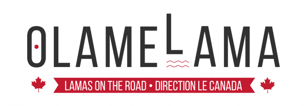 Logo roadtrip Canada Olamelama
