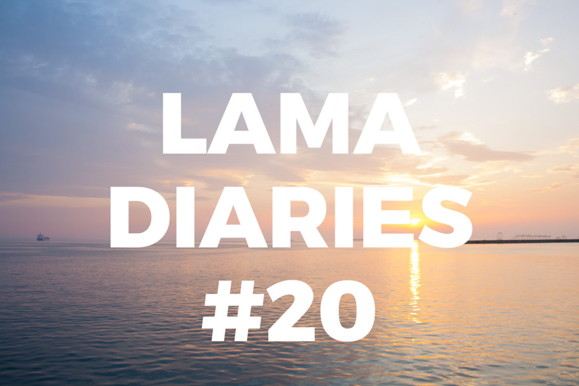 lama-diaries-20 Lama Diaries 20 Novembre 2017