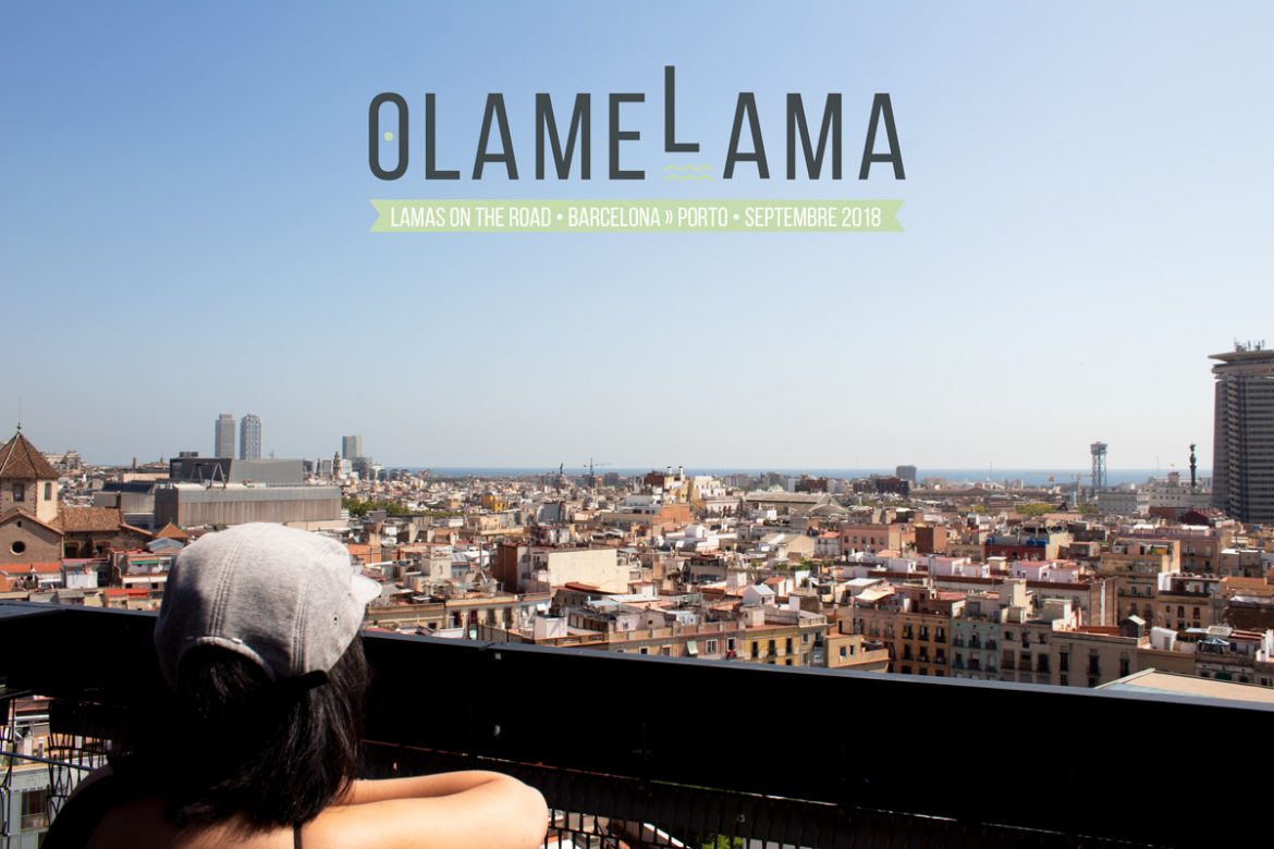 roadtrip-nord-espagne-barcelone