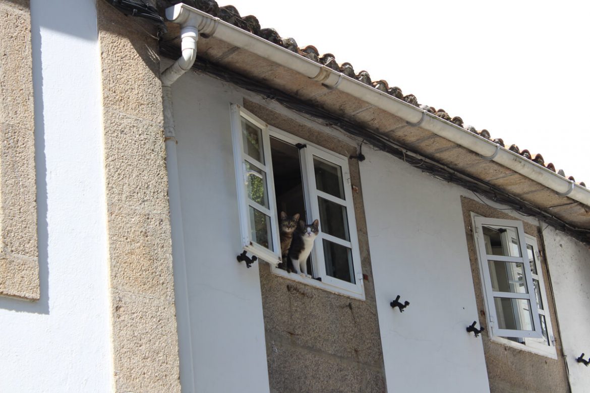 Histoires Expatriées - Les relations sociales