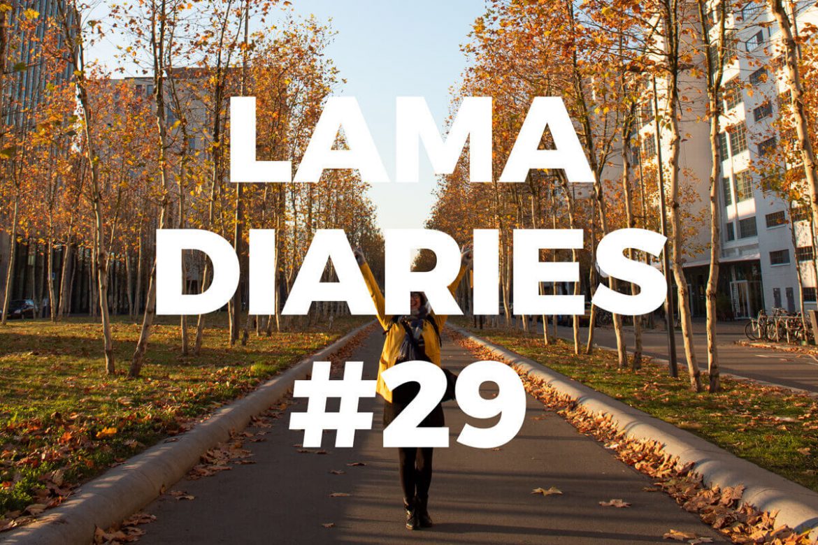 lama-diaries-29 Lama Diaries #29 - Novembre 2018