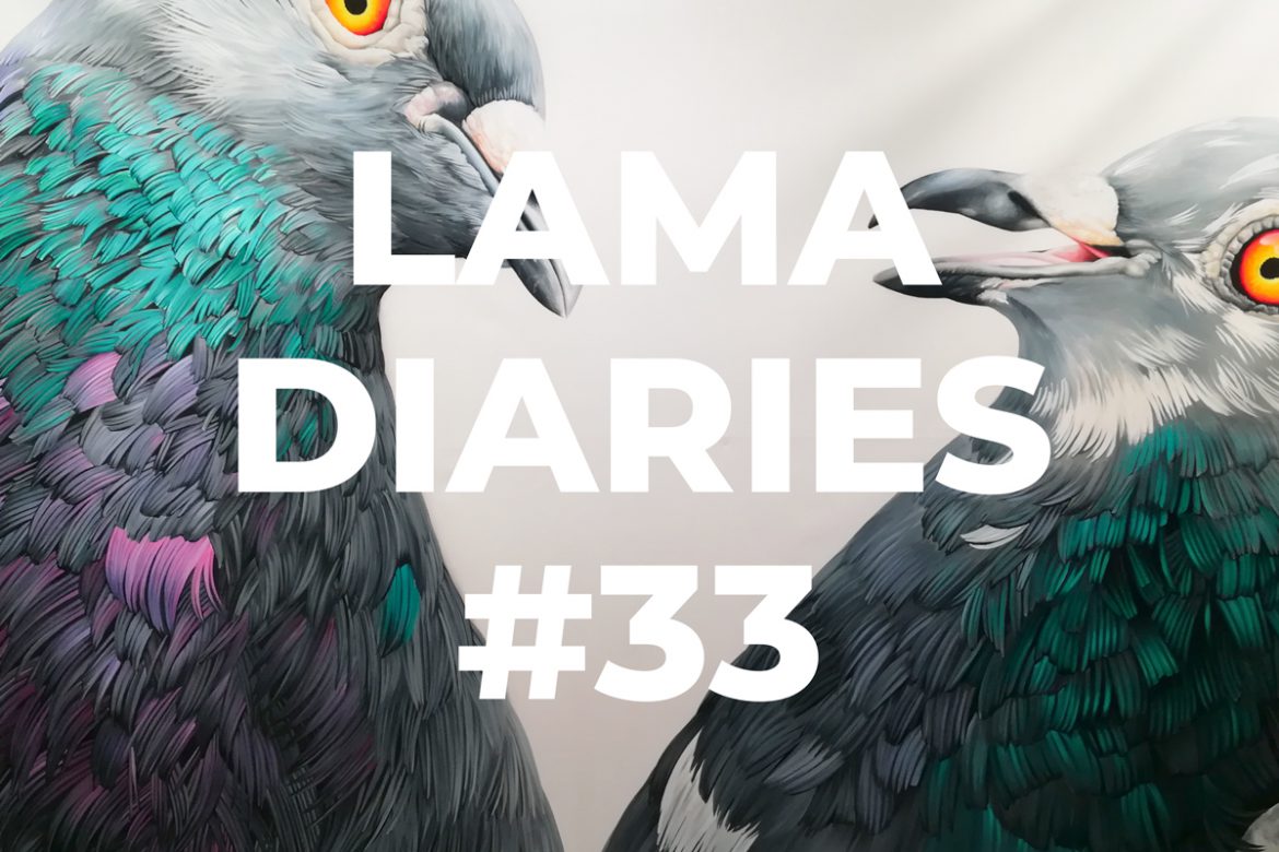 Lama Diaries 34 - Favoris du mois de mars