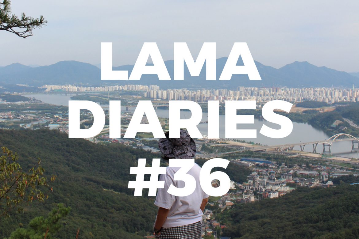 lama-diaries-36 Lama Diaries 36 - Découvertes et coup de coeur automne 2019