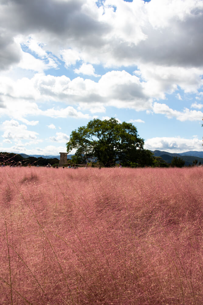 Roadtrip de 3 semaines en Corée - Gyeongju